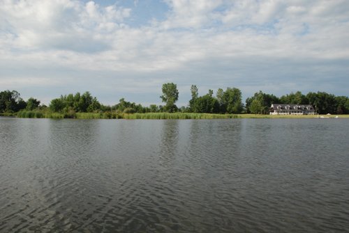 Property photo 30 - 24 Acres Offered in 5 Tracts
