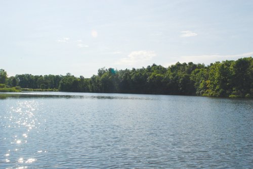 Property photo 1 - 24 Acres Offered in 5 Tracts
