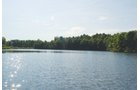Property photo 1 - 24 Acres Offered in 5 Tracts
