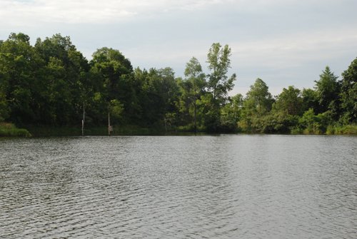 Property photo 7 - 24 Acres Offered in 5 Tracts
