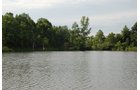 Property photo 7 - 24 Acres Offered in 5 Tracts
