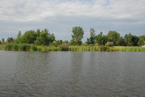 Property photo 48 - 24 Acres Offered in 5 Tracts
