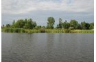 Property photo 48 - 24 Acres Offered in 5 Tracts

