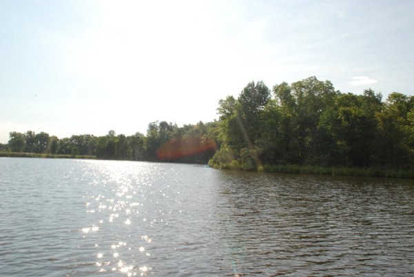 24 Acres Offered in 5 Tracts
