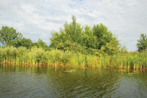 Property photo 20 - 24 Acres Offered in 5 Tracts
