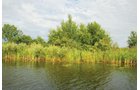 Property photo 20 - 24 Acres Offered in 5 Tracts
