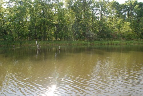 Property photo 32 - 24 Acres Offered in 5 Tracts

