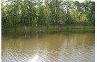 Property photo 32 - 24 Acres Offered in 5 Tracts
