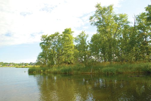 Property photo 36 - 24 Acres Offered in 5 Tracts
