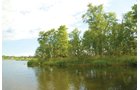 Property photo 36 - 24 Acres Offered in 5 Tracts
