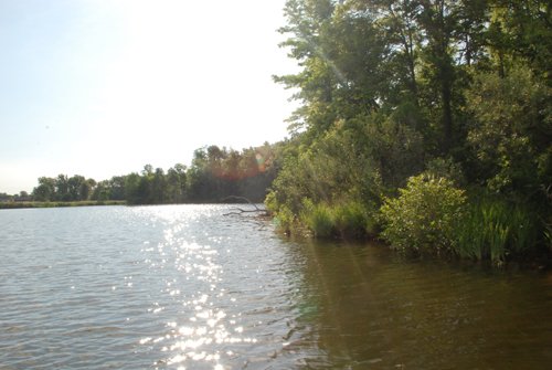Property photo 31 - 24 Acres Offered in 5 Tracts
