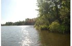 Property photo 31 - 24 Acres Offered in 5 Tracts
