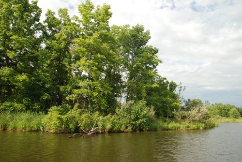 Property photo 22 - 24 Acres Offered in 5 Tracts
