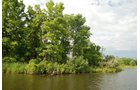 Property photo 22 - 24 Acres Offered in 5 Tracts
