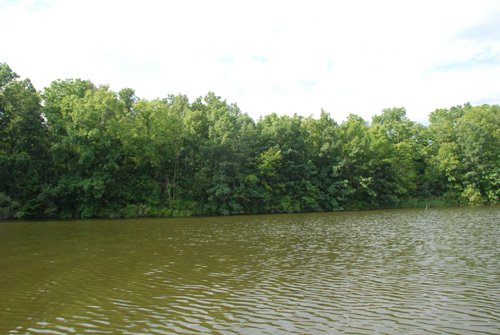 Property photo 3 - 24 Acres Offered in 5 Tracts
