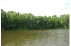 Property photo 3 - 24 Acres Offered in 5 Tracts
