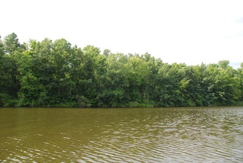 Property photo 18 - 24 Acres Offered in 5 Tracts
