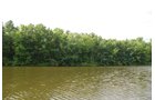 Property photo 18 - 24 Acres Offered in 5 Tracts
