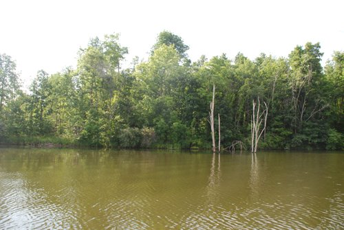 Property photo 43 - 24 Acres Offered in 5 Tracts
