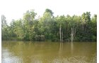 Property photo 43 - 24 Acres Offered in 5 Tracts
