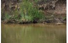 Property photo 26 - 24 Acres Offered in 5 Tracts
