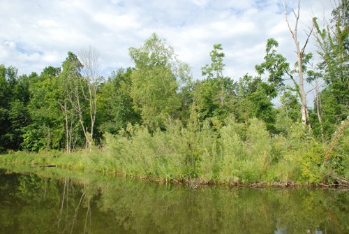 Property photo 38 - 24 Acres Offered in 5 Tracts
