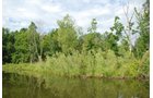 Property photo 38 - 24 Acres Offered in 5 Tracts

