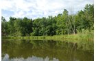 Property photo 45 - 24 Acres Offered in 5 Tracts
