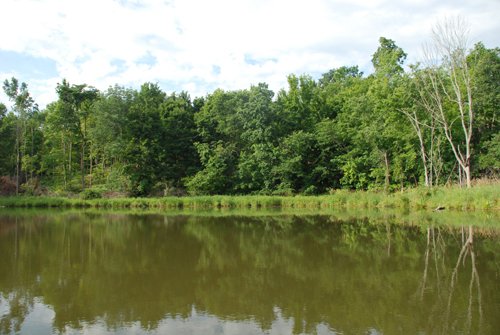 Property photo 8 - 24 Acres Offered in 5 Tracts
