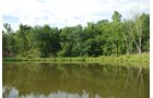 Property photo 8 - 24 Acres Offered in 5 Tracts
