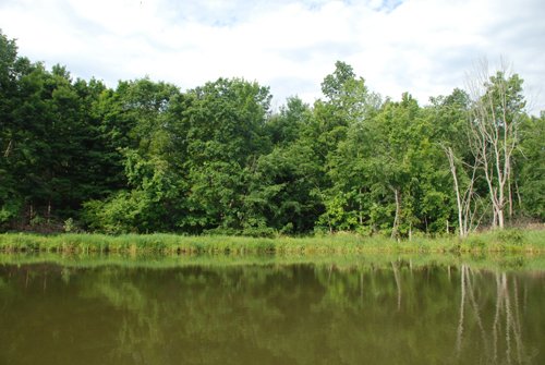 Property photo 25 - 24 Acres Offered in 5 Tracts

