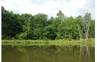 Property photo 25 - 24 Acres Offered in 5 Tracts
