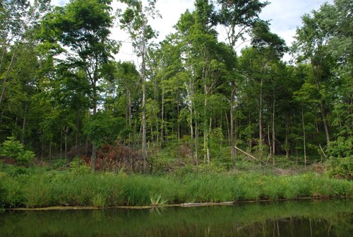 Property photo 27 - 24 Acres Offered in 5 Tracts
