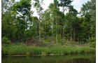 Property photo 27 - 24 Acres Offered in 5 Tracts
