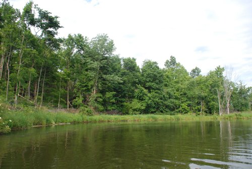Property photo 28 - 24 Acres Offered in 5 Tracts
