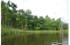Property photo 28 - 24 Acres Offered in 5 Tracts
