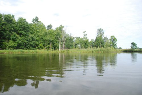 Property photo 24 - 24 Acres Offered in 5 Tracts
