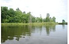 Property photo 24 - 24 Acres Offered in 5 Tracts
