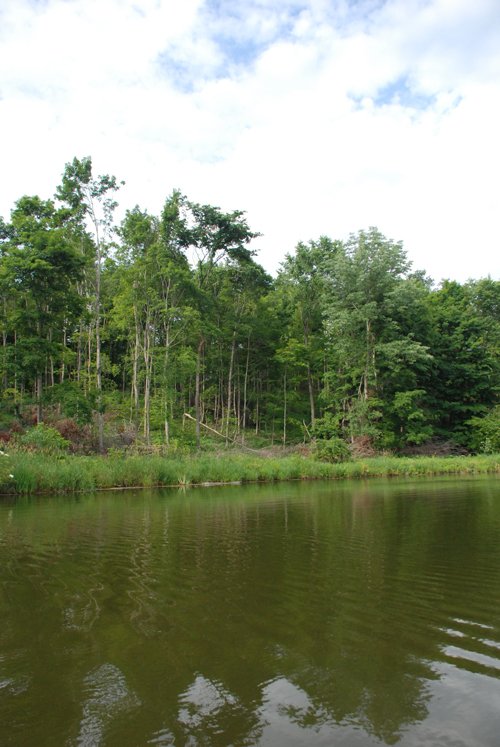 Property photo 14 - 24 Acres Offered in 5 Tracts
