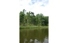 Property photo 14 - 24 Acres Offered in 5 Tracts
