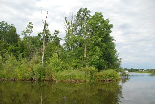 Property photo 5 - 24 Acres Offered in 5 Tracts
