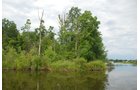 Property photo 5 - 24 Acres Offered in 5 Tracts
