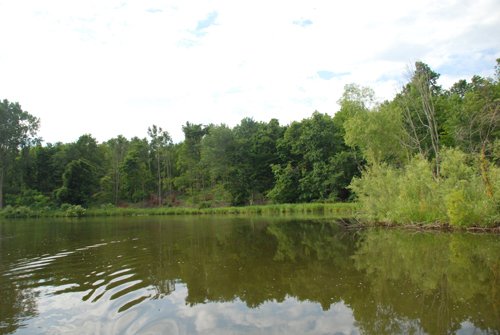 Property photo 9 - 24 Acres Offered in 5 Tracts

