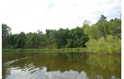 Property photo 9 - 24 Acres Offered in 5 Tracts
