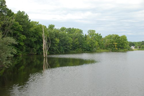 Property photo 12 - 24 Acres Offered in 5 Tracts

