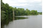 Property photo 12 - 24 Acres Offered in 5 Tracts
