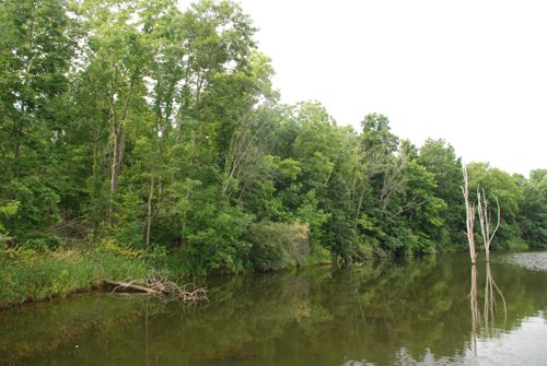 Property photo 11 - 24 Acres Offered in 5 Tracts
