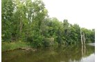 Property photo 11 - 24 Acres Offered in 5 Tracts

