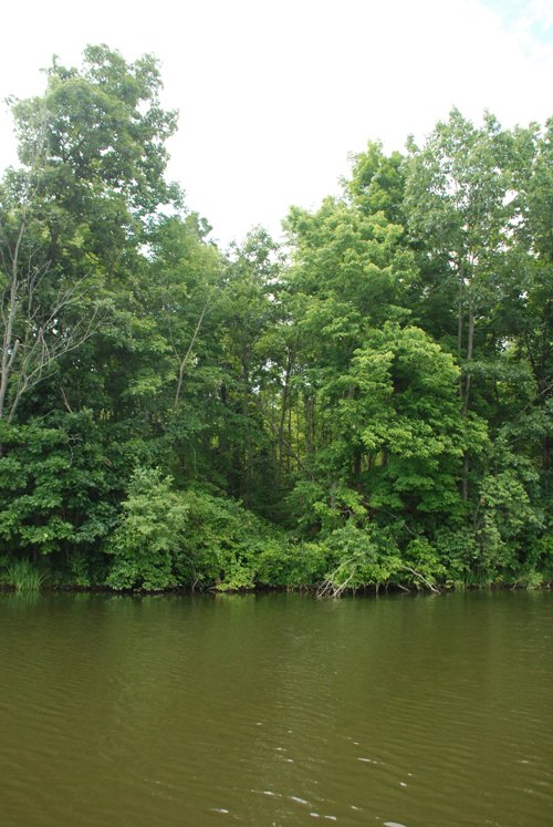 Property photo 37 - 24 Acres Offered in 5 Tracts
