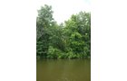 Property photo 37 - 24 Acres Offered in 5 Tracts
